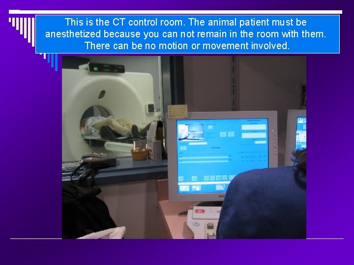 This is the CT control room. The animal patient must be anesthetized because you