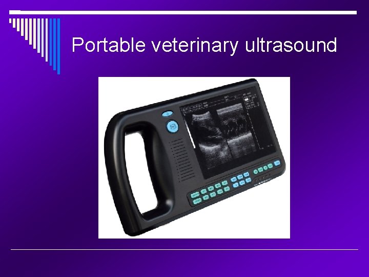 Portable veterinary ultrasound 