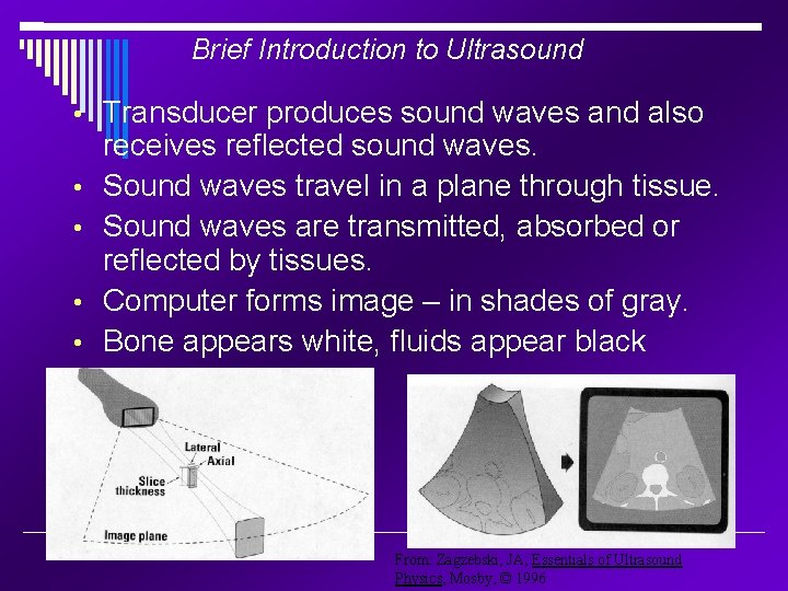 Brief Introduction to Ultrasound • Transducer produces sound waves and also • • receives