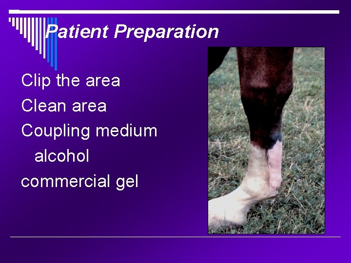 Patient Preparation Clip the area Clean area Coupling medium alcohol commercial gel 