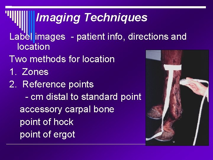 Imaging Techniques Label images - patient info, directions and location Two methods for location
