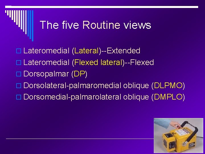 The five Routine views Lateromedial (Lateral)--Extended Lateromedial (Flexed lateral)--Flexed Dorsopalmar (DP) Dorsolateral-palmaromedial oblique (DLPMO)