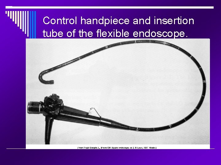 Control handpiece and insertion tube of the flexible endoscope. 