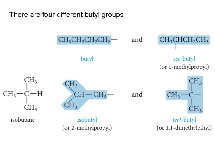 There are four different butyl groups 