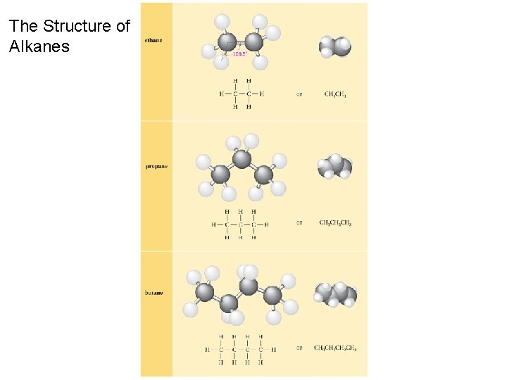 The Structure of Alkanes 