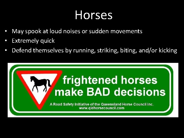 Horses • May spook at loud noises or sudden movements • Extremely quick •