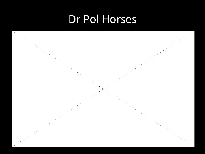 Dr Pol Horses 