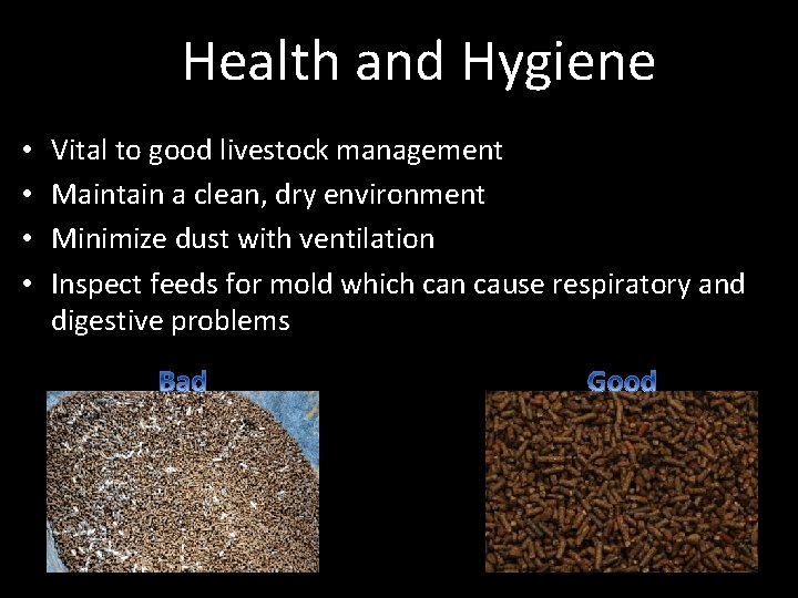 Health and Hygiene • • Vital to good livestock management Maintain a clean, dry