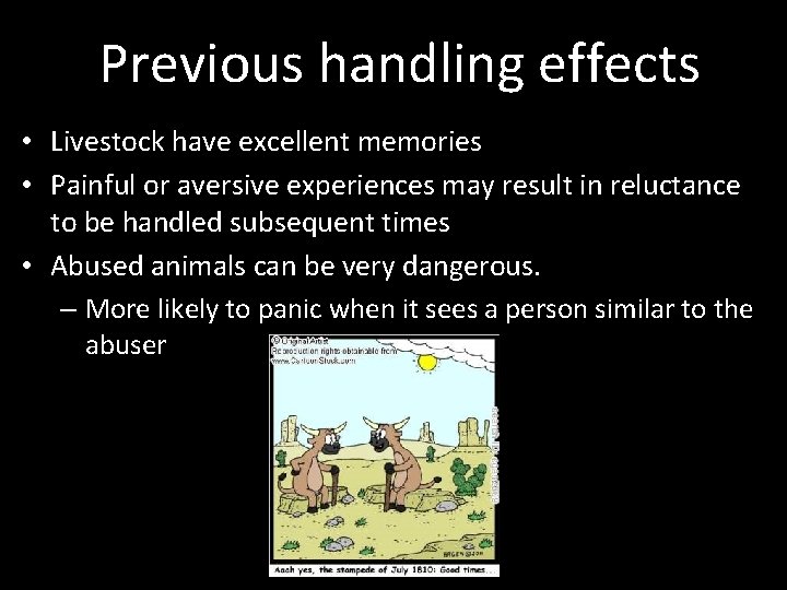 Previous handling effects • Livestock have excellent memories • Painful or aversive experiences may