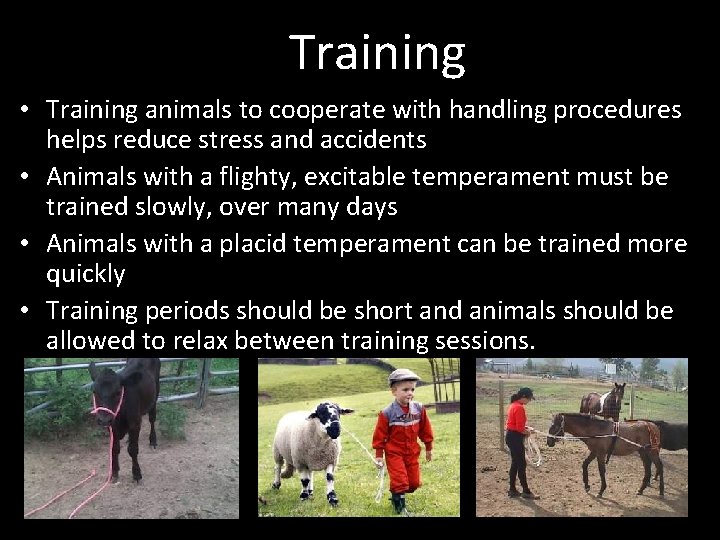 Training • Training animals to cooperate with handling procedures helps reduce stress and accidents