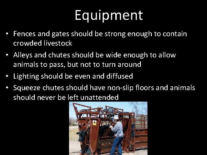 Equipment • Fences and gates should be strong enough to contain crowded livestock •