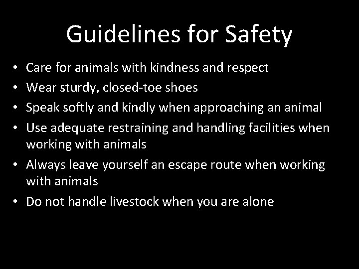 Guidelines for Safety Care for animals with kindness and respect Wear sturdy, closed-toe shoes