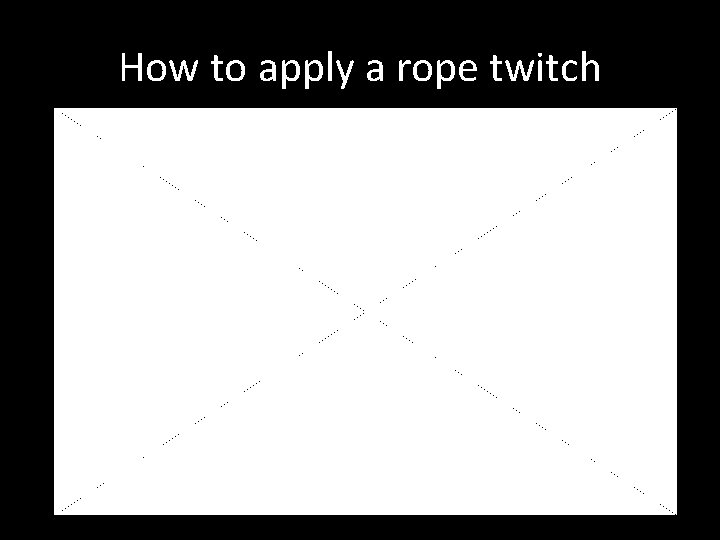 How to apply a rope twitch 