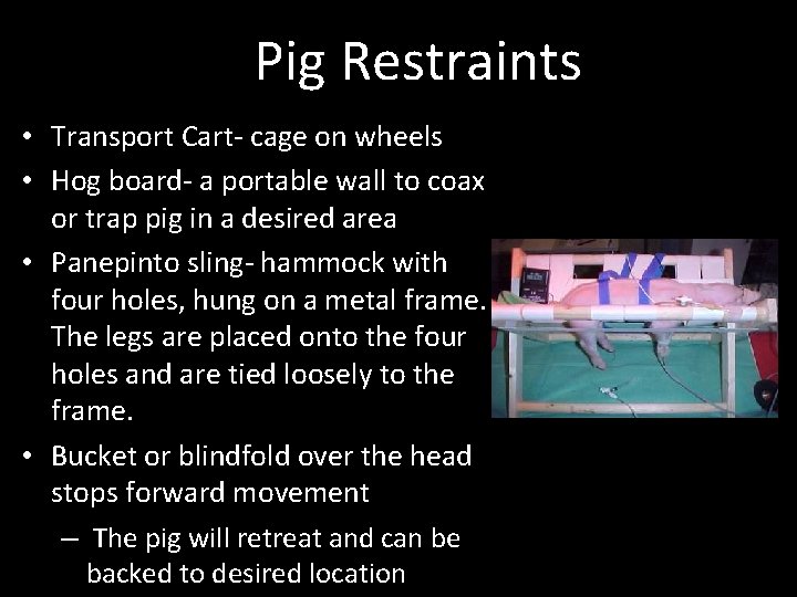 Pig Restraints • Transport Cart- cage on wheels • Hog board- a portable wall