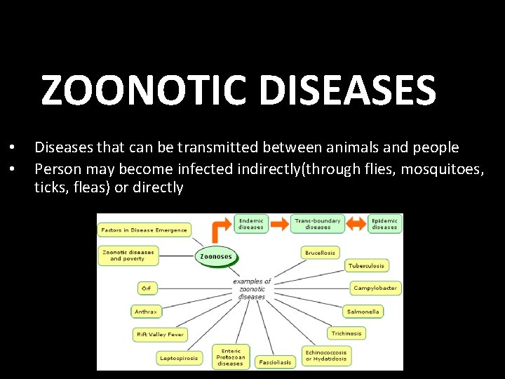 ZOONOTIC DISEASES • • Diseases that can be transmitted between animals and people Person