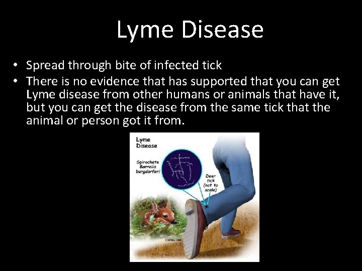 Lyme Disease • Spread through bite of infected tick • There is no evidence