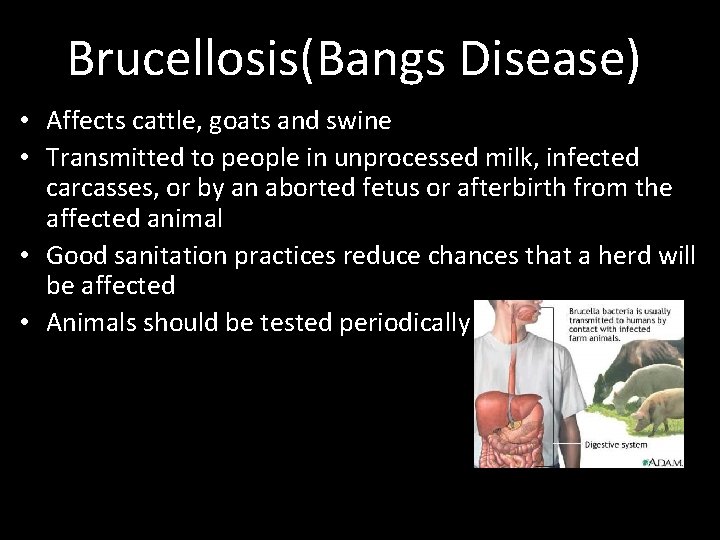 Brucellosis(Bangs Disease) • Affects cattle, goats and swine • Transmitted to people in unprocessed