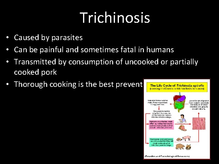 Trichinosis • Caused by parasites • Can be painful and sometimes fatal in humans