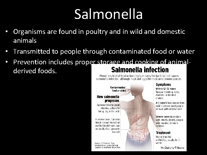 Salmonella • Organisms are found in poultry and in wild and domestic animals •