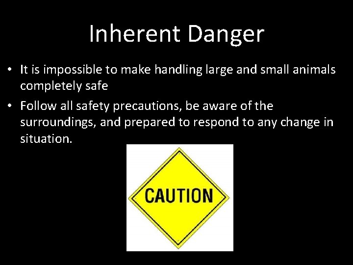 Inherent Danger • It is impossible to make handling large and small animals completely