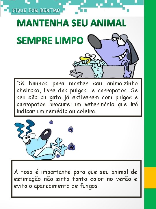 Dê banhos para manter seu animalzinho cheiroso, livre das pulgas e carrapatos. Se seu