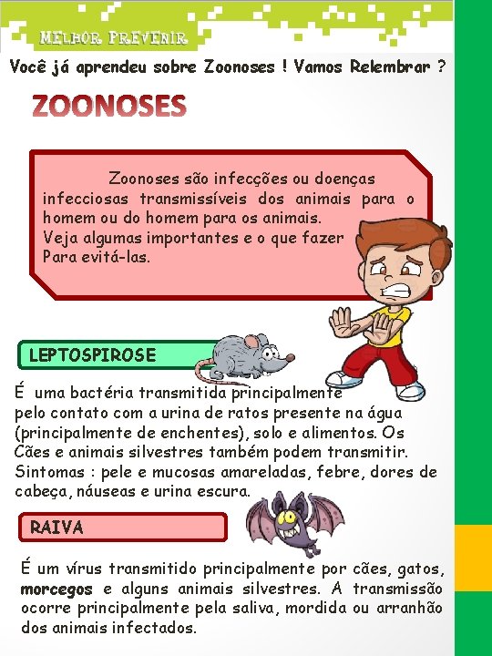 Você já aprendeu sobre Zoonoses ! Vamos Relembrar ? ZOONOSES Zoonoses são infecções ou
