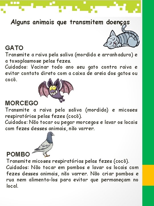 Alguns animais que transmitem doenças GATO Transmite a raiva pela saliva (mordida e arranhadura)