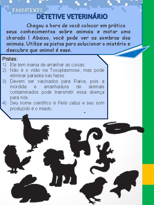 DETETIVE VETERINÁRIO Chegou a hora de você colocar em prática seus conhecimentos sobre animais