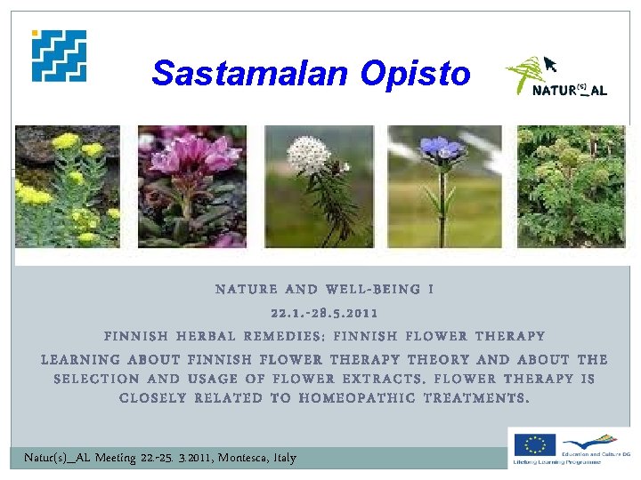 Sastamalan Opisto NATURE AND WELL-BEING I 22. 1. -28. 5. 2011 FINNISH HERBAL REMEDIES: