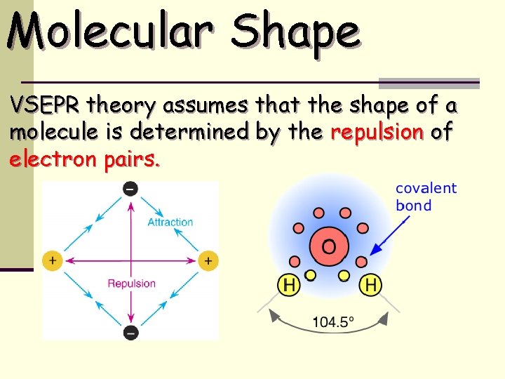 Molecular Shape VSEPR theory assumes that the shape of a molecule is determined by