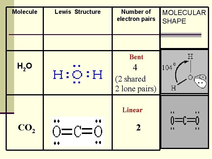 Molecule Lewis Structure Number of electron pairs Bent H 2 O 4 (2 shared