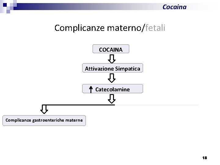 Cocaina Complicanze materno/fetali COCAINA Attivazione Simpatica Catecolamine Complicanze gastroenteriche materne 18 