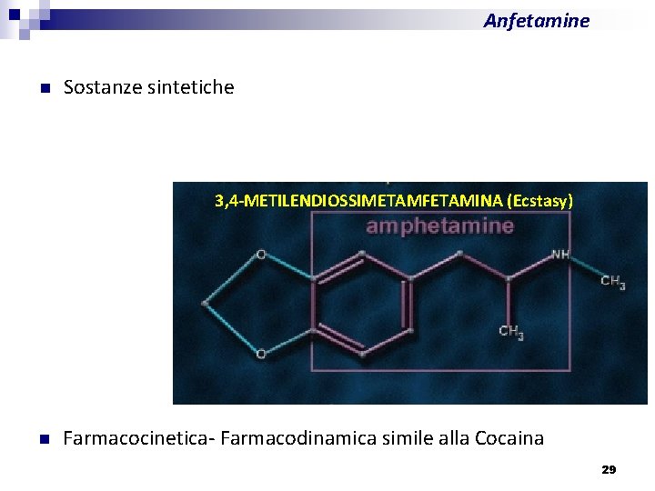 Anfetamine n Sostanze sintetiche 3, 4 -METILENDIOSSIMETAMFETAMINA (Ecstasy) n Farmacocinetica- Farmacodinamica simile alla Cocaina
