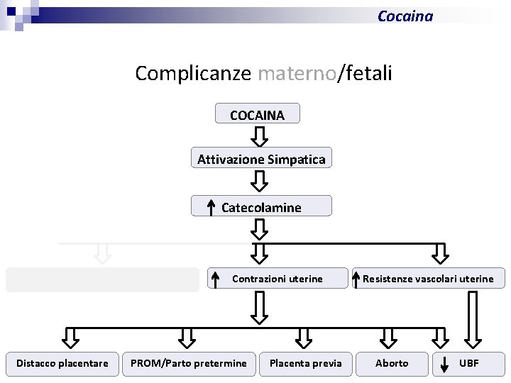 Cocaina Complicanze materno/fetali COCAINA Attivazione Simpatica Catecolamine Complicanze materne Distacco placentare Contrazioni uterine PROM/Parto