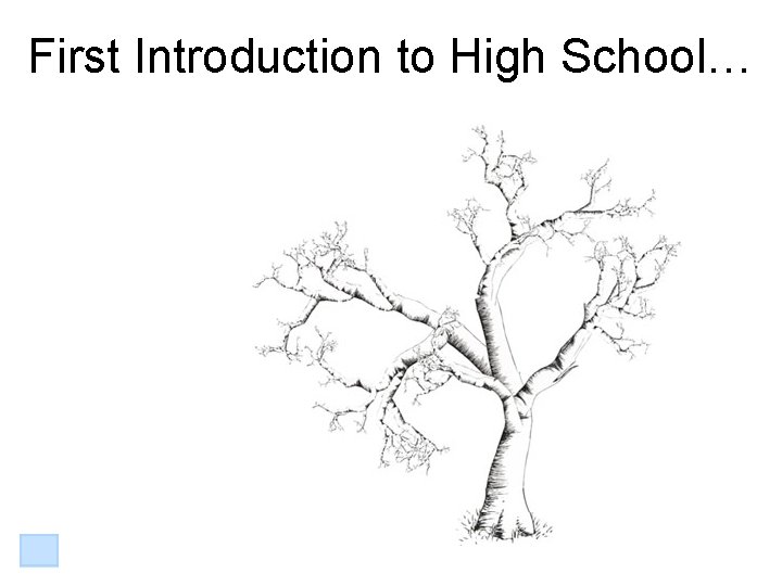 First Introduction to High School… 