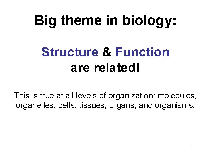 Big theme in biology: Structure & Function are related! This is true at all