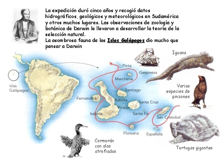 La expedición duró cinco años y recogió datos hidrográficos, geológicos y meteorológicos en Sudamérica