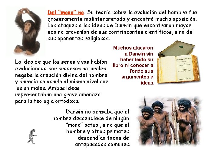 Del “mono” no. Su teoría sobre la evolución del hombre fue groseramente malinterpretada y