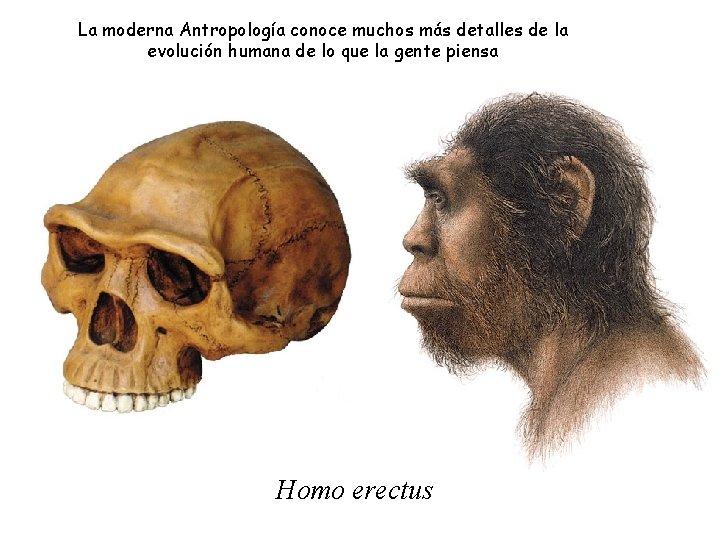 La moderna Antropología conoce muchos más detalles de la evolución humana de lo que