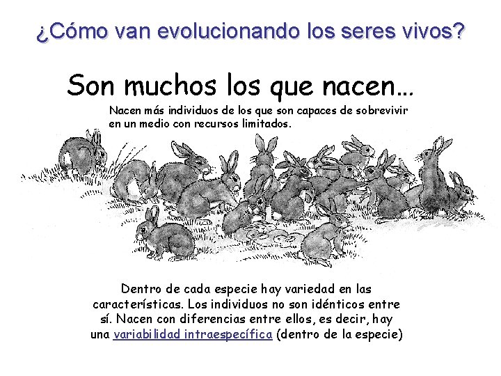 ¿Cómo van evolucionando los seres vivos? Son muchos los que nacen… Nacen más individuos