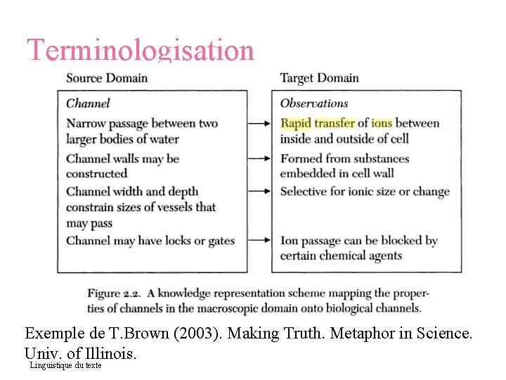 Terminologisation Exemple de T. Brown (2003). Making Truth. Metaphor in Science. Univ. of Illinois.