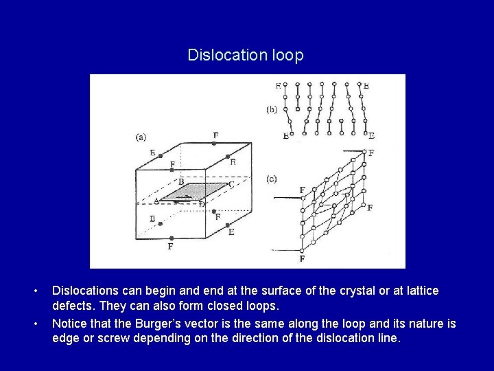 Dislocation loop • • Dislocations can begin and end at the surface of the