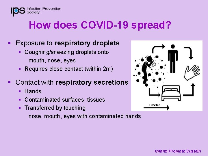 How does COVID-19 spread? § Exposure to respiratory droplets § Coughing/sneezing droplets onto mouth,