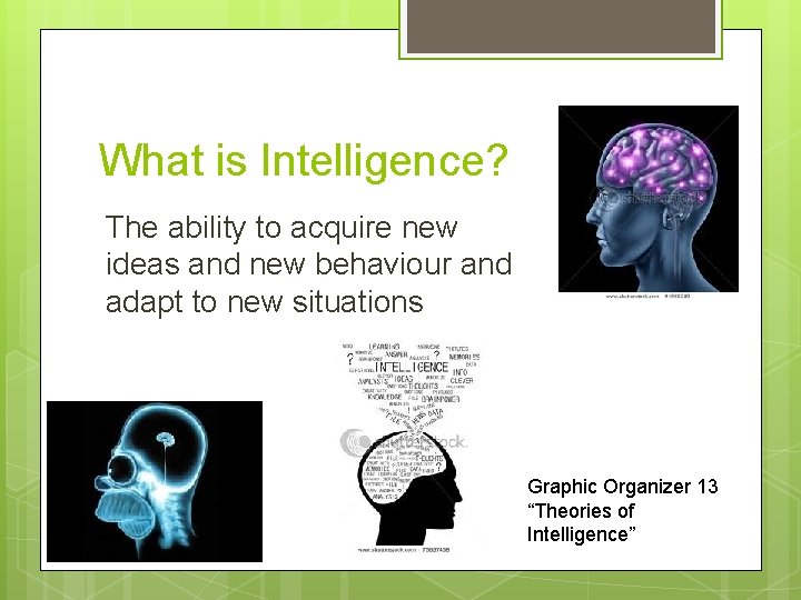 What is Intelligence? The ability to acquire new ideas and new behaviour and adapt