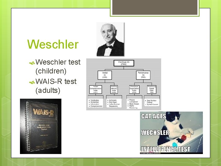 Weschler test (children) WAIS-R test (adults) 