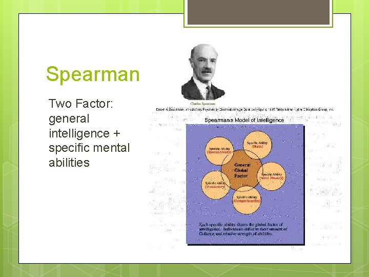 Spearman Two Factor: general intelligence + specific mental abilities 