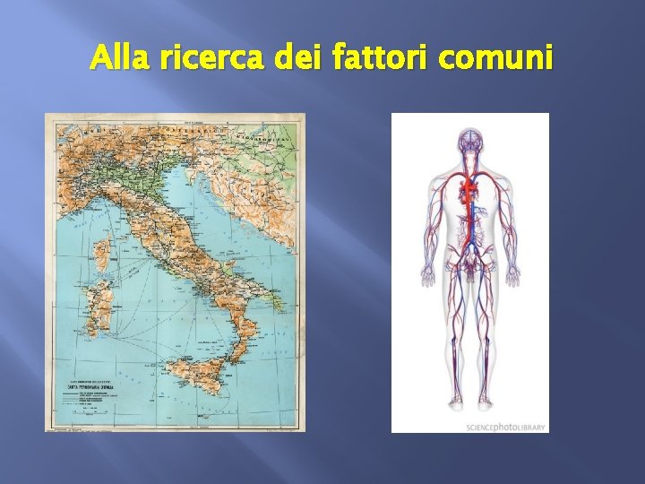 Alla ricerca dei fattori comuni 