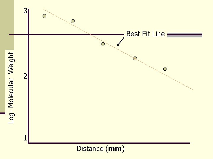 3 Log- Molecular Weight Best Fit Line 2 1 Distance (mm) 
