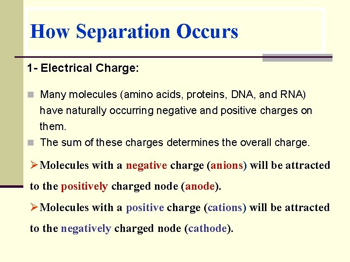 How Separation Occurs 1 - Electrical Charge: n Many molecules (amino acids, proteins, DNA,