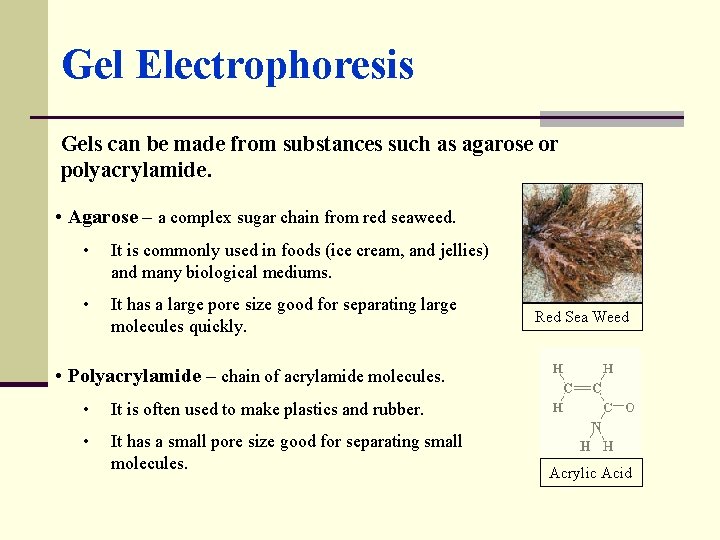 Gel Electrophoresis Gels can be made from substances such as agarose or polyacrylamide. •